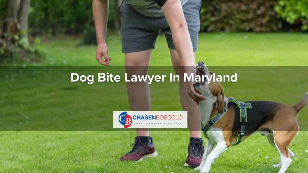 Dog Bite Lawyer In Maryland