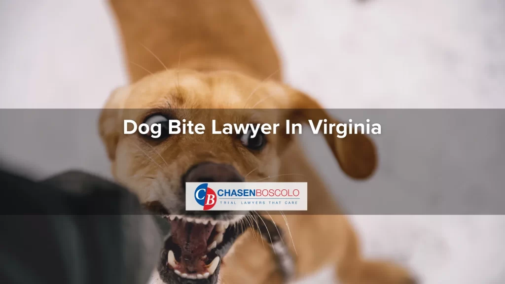 Dog Bite Lawyer In Virginia