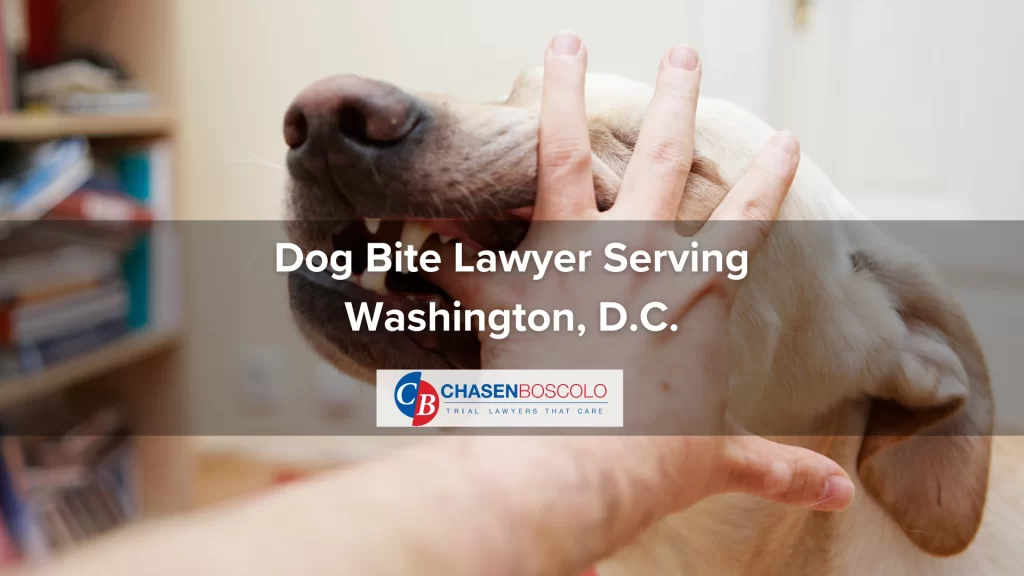 Dog Bite Lawyer Serving Washington, D.C