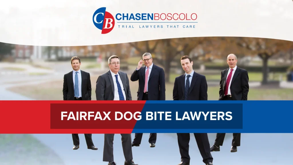 Fairfax dog bite lawyer