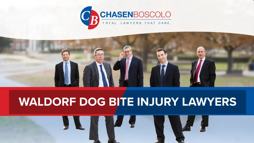 Waldorf Dog Bite Injury Lawyer