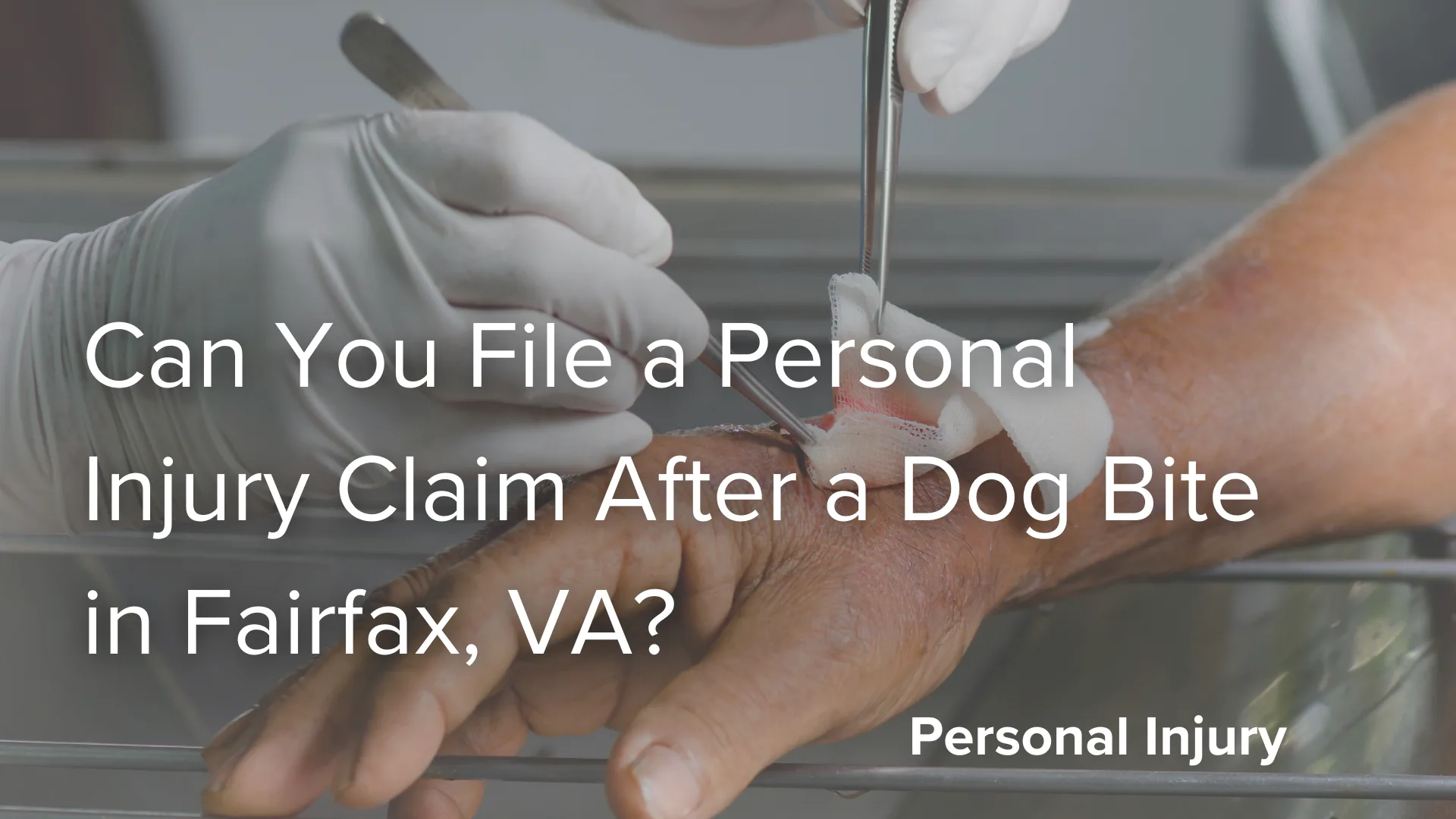 Can You File a Personal Injury Claim After a Dog Bite in Fairfax, VA_ image
